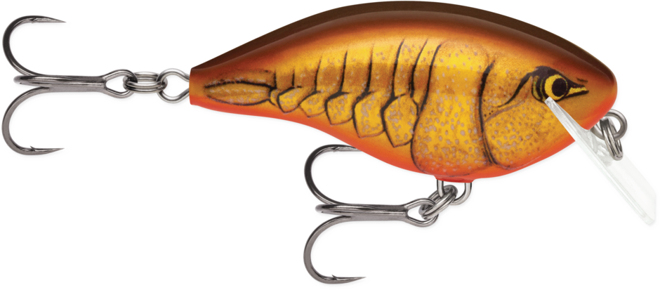 Discover the Secret Lure Top Bass Pros Swear By—Is It in Your Tackle Box?