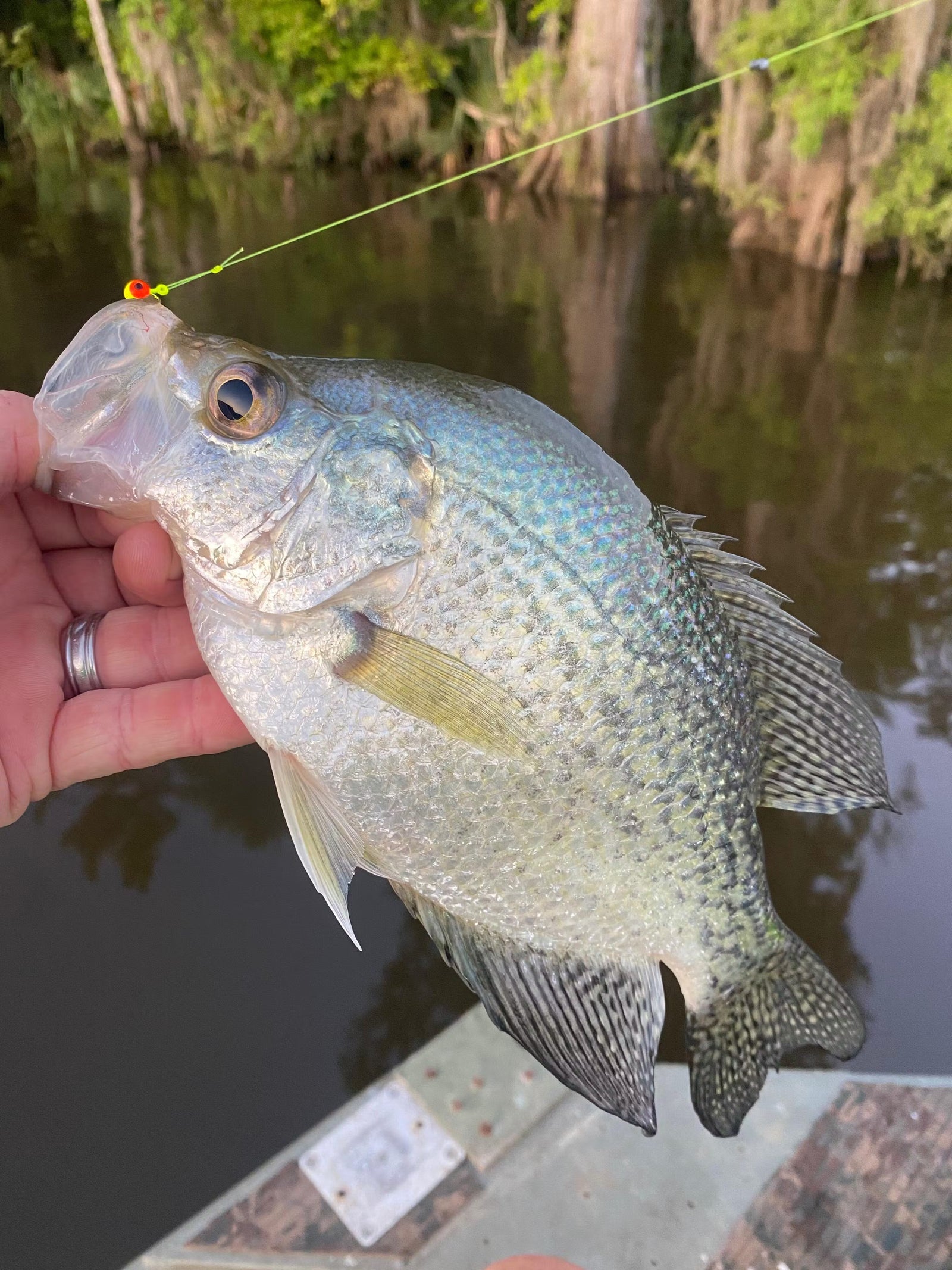 Crappie Fishing Gear