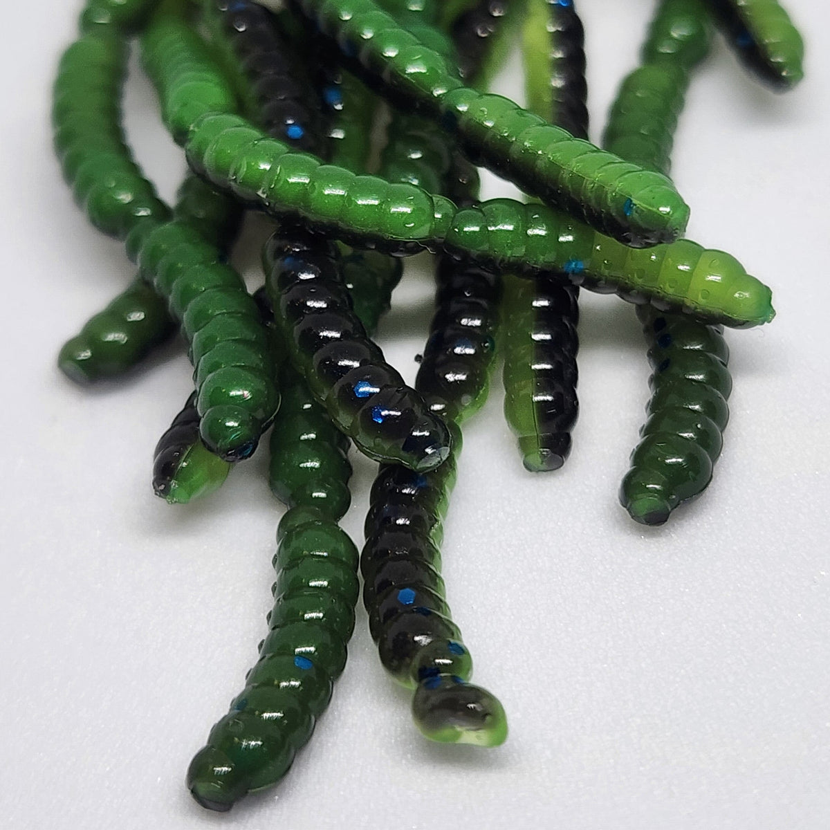 Creek Life 0.5&quot; Maggot Larvae &quot;The Apple Maggot&quot; – Jar of 120