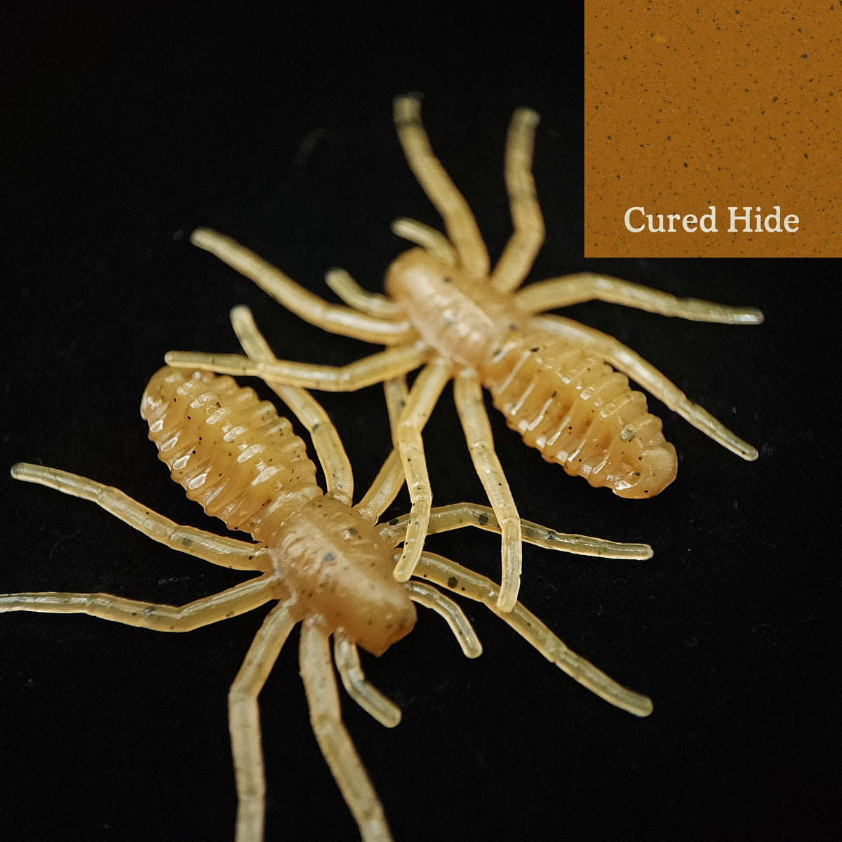Creek Life 1&quot; Micro Spider Bait &quot;The Writing Spider&quot; – Jar of 16
