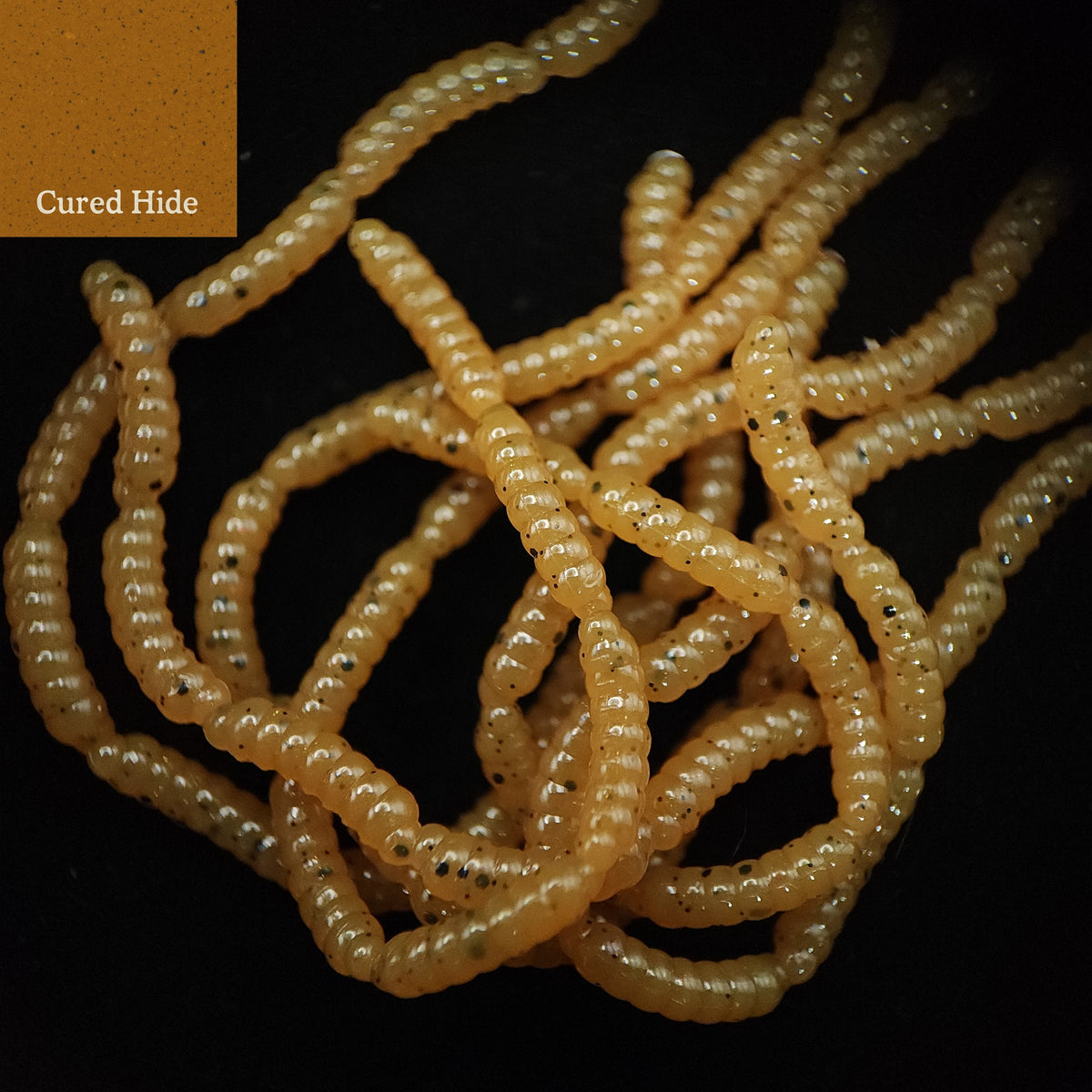 Creek Life 0.5&quot; Maggot Larvae &quot;The Apple Maggot&quot; – Pack of 30
