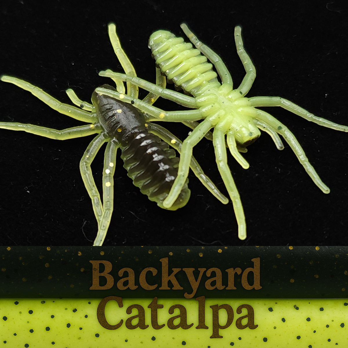 Creek Life 1&quot; Micro Spider Bait &quot;The Writing Spider&quot; – Pack of 6