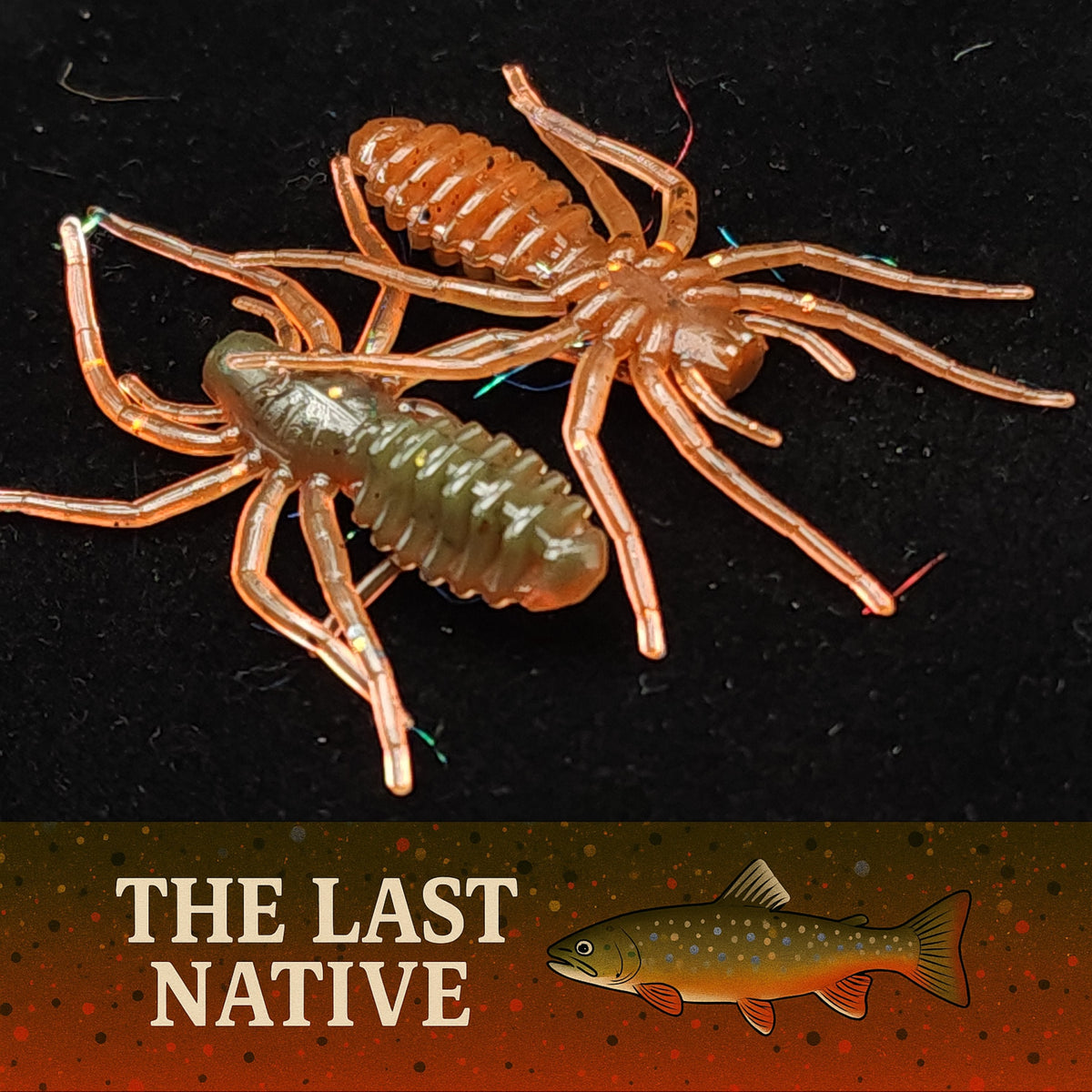 Creek Life 1&quot; Micro Spider Bait &quot;The Writing Spider&quot; – Pack of 6