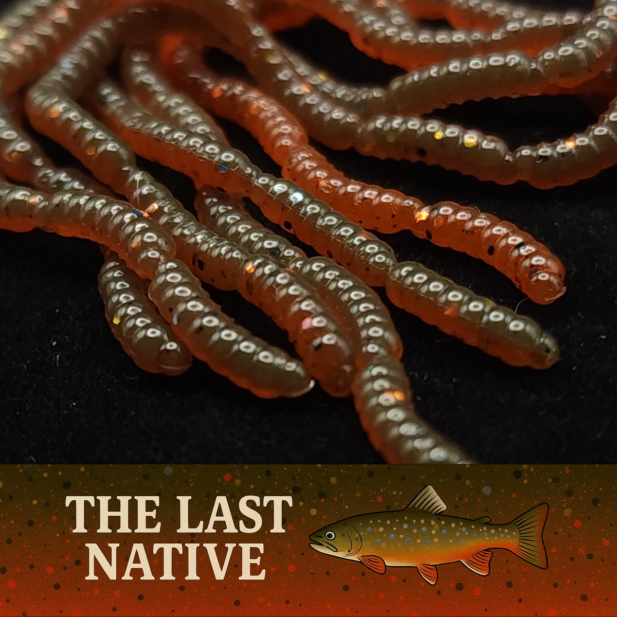Creek Life 0.5&quot; Maggot Larvae &quot;The Apple Maggot&quot; – Jar of 120