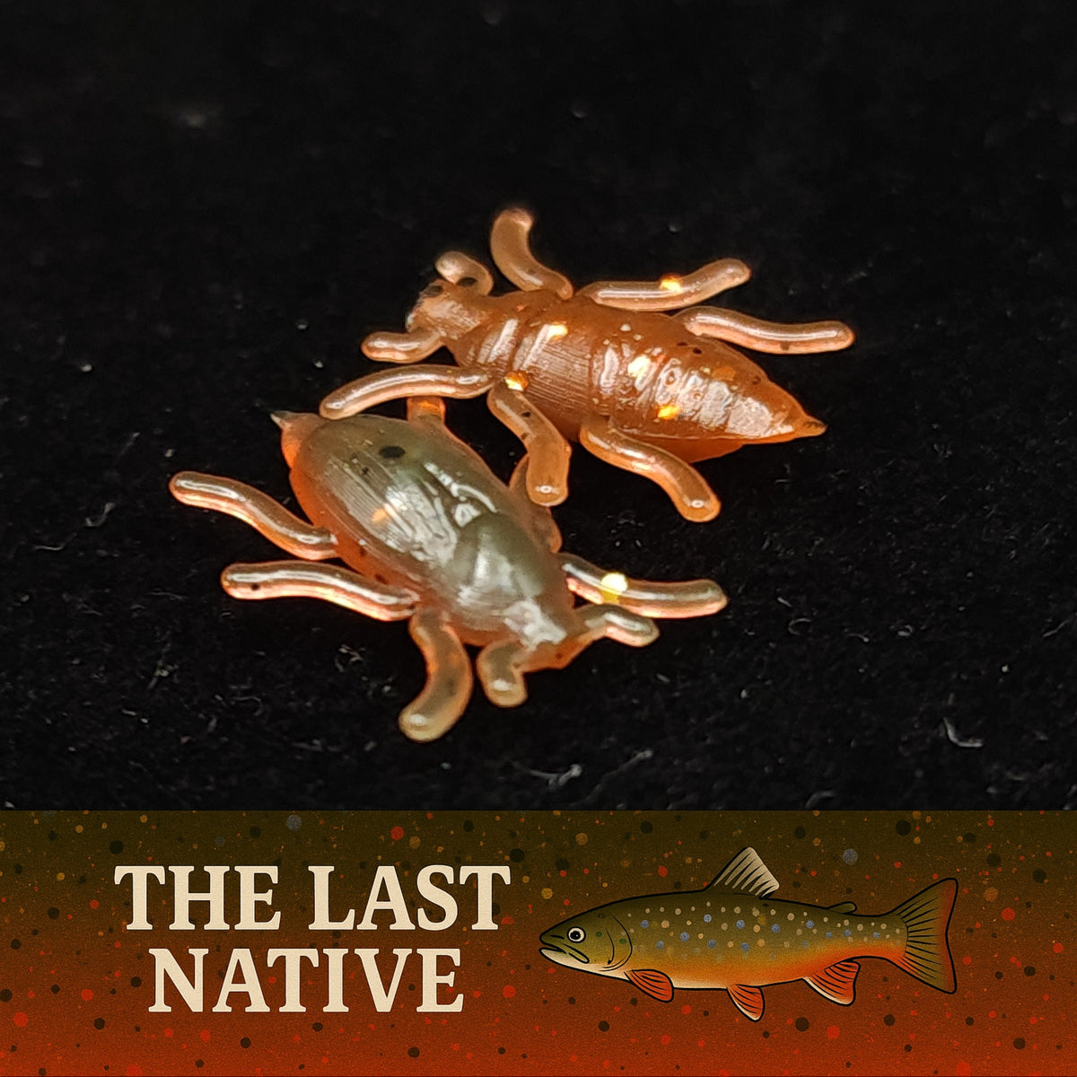 Creek Life 0.5&quot; Micro Beetle &quot;Toe Biter&quot; – Pack of 8