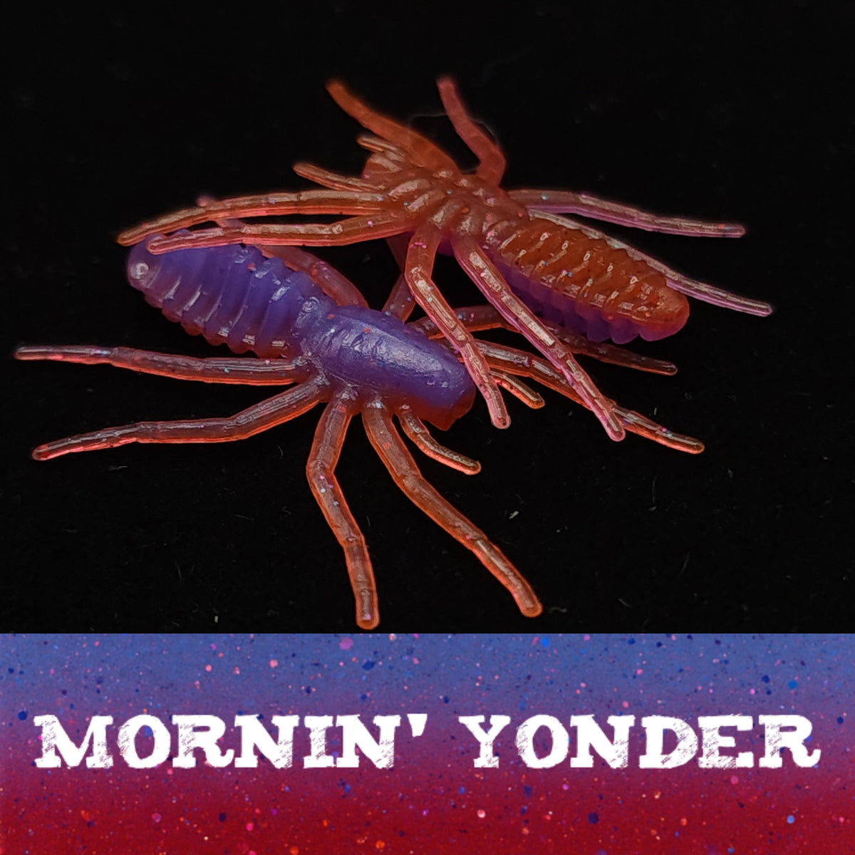 Creek Life 1&quot; Micro Spider Bait &quot;The Writing Spider&quot; – Jar of 16