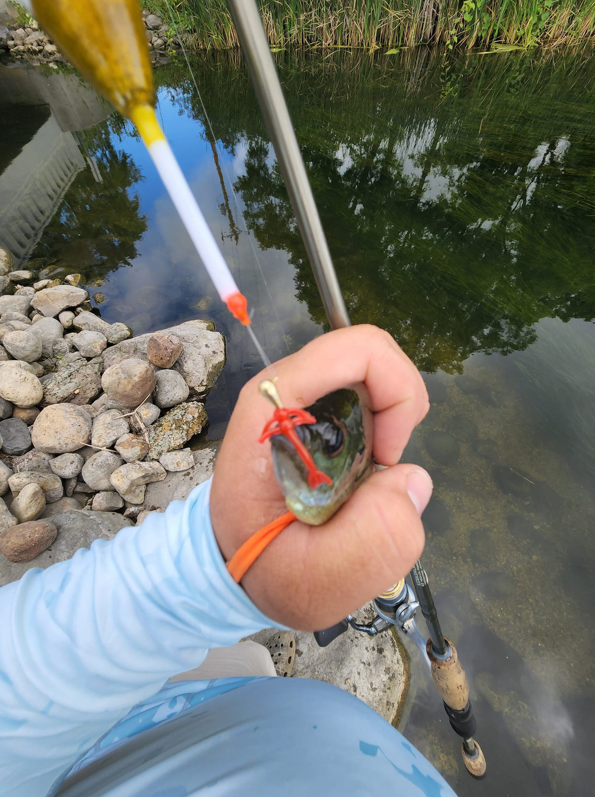 Freedom Baitz Hornet Straight-Tail Soft Plastic