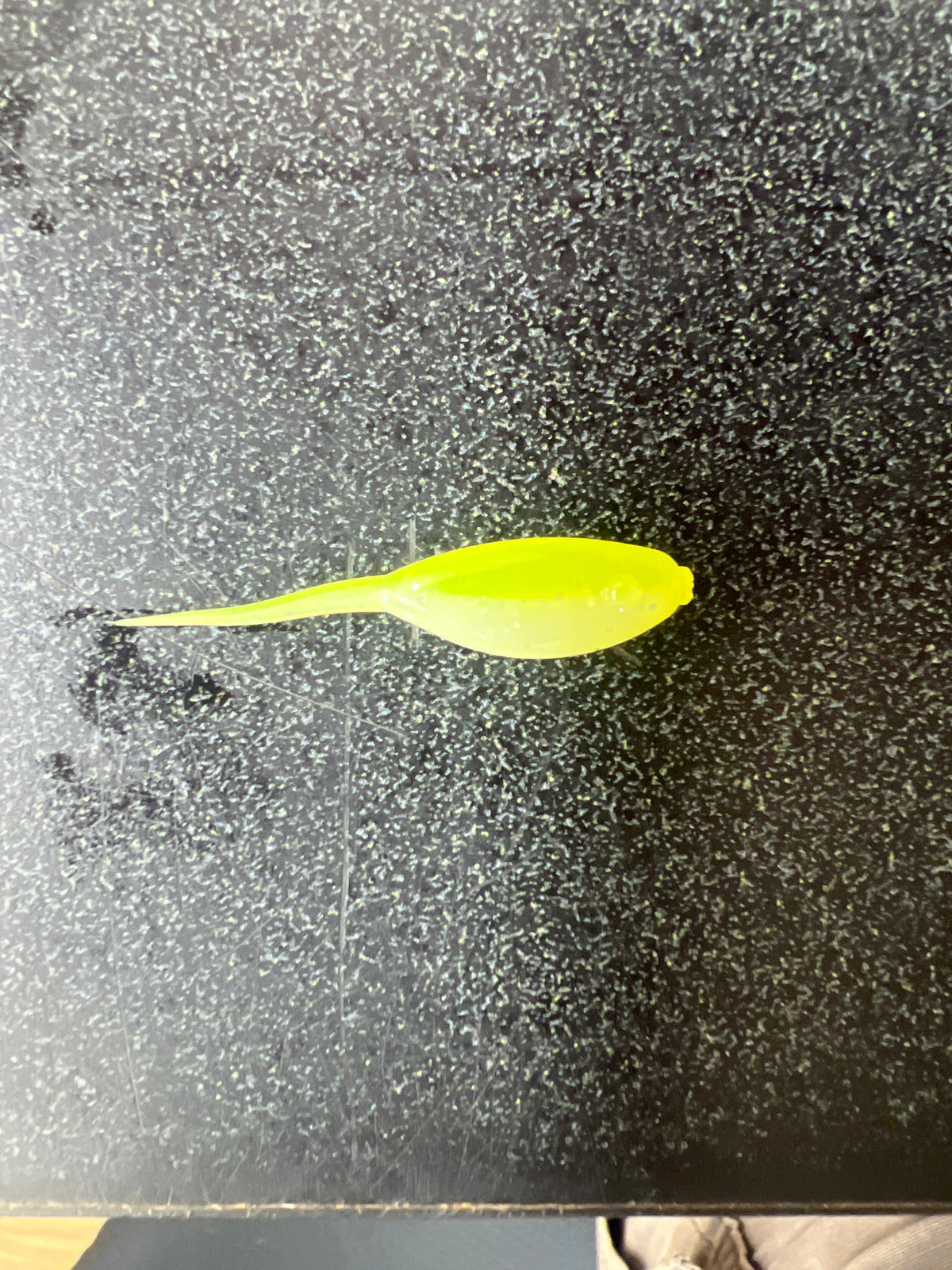 1.5-inch Little Minnow stinger tail crappie soft plastic