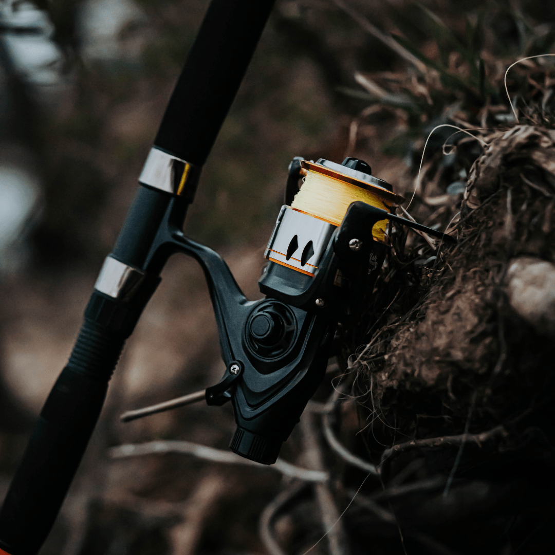 Catfish Spinning Reel 600STS Spinning Reel 600STS Spinning Reel