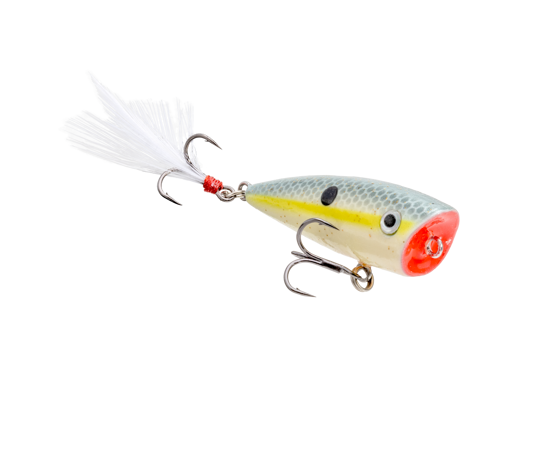 Strike King Bitsy Splash Popper