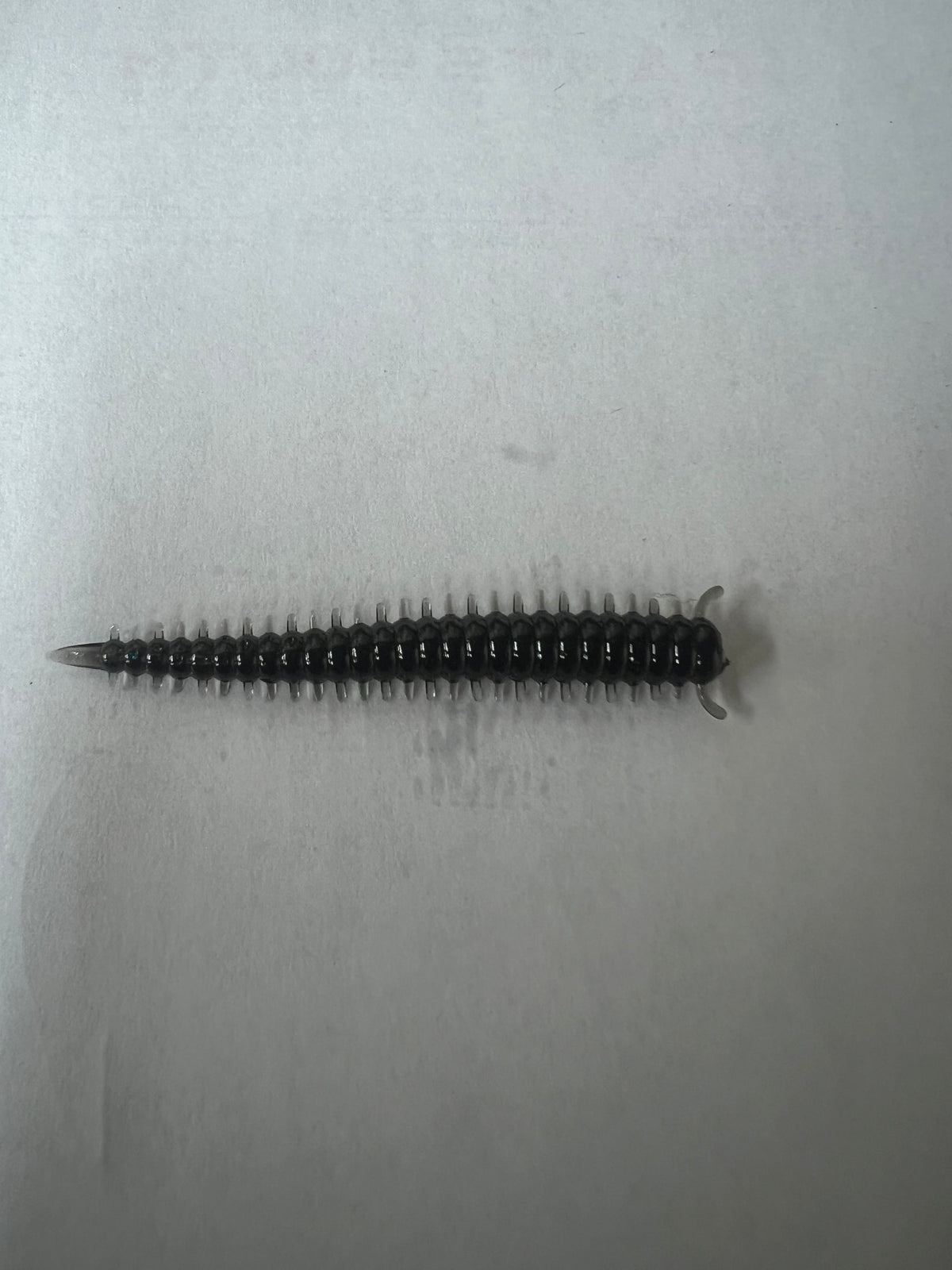 2in Sandworm soft plastic bait for crappie fishing