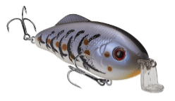 Strike King Shallow Hybrid Hunter Jr. Crankbait