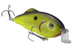 Strike King Shallow Hybrid Hunter Jr. Crankbait