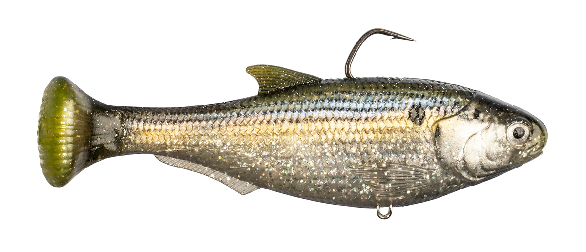 Z-Man Shadtron LT Swimbait