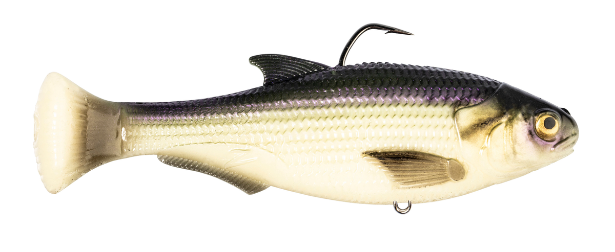 Z-Man Shadtron LT Swimbait