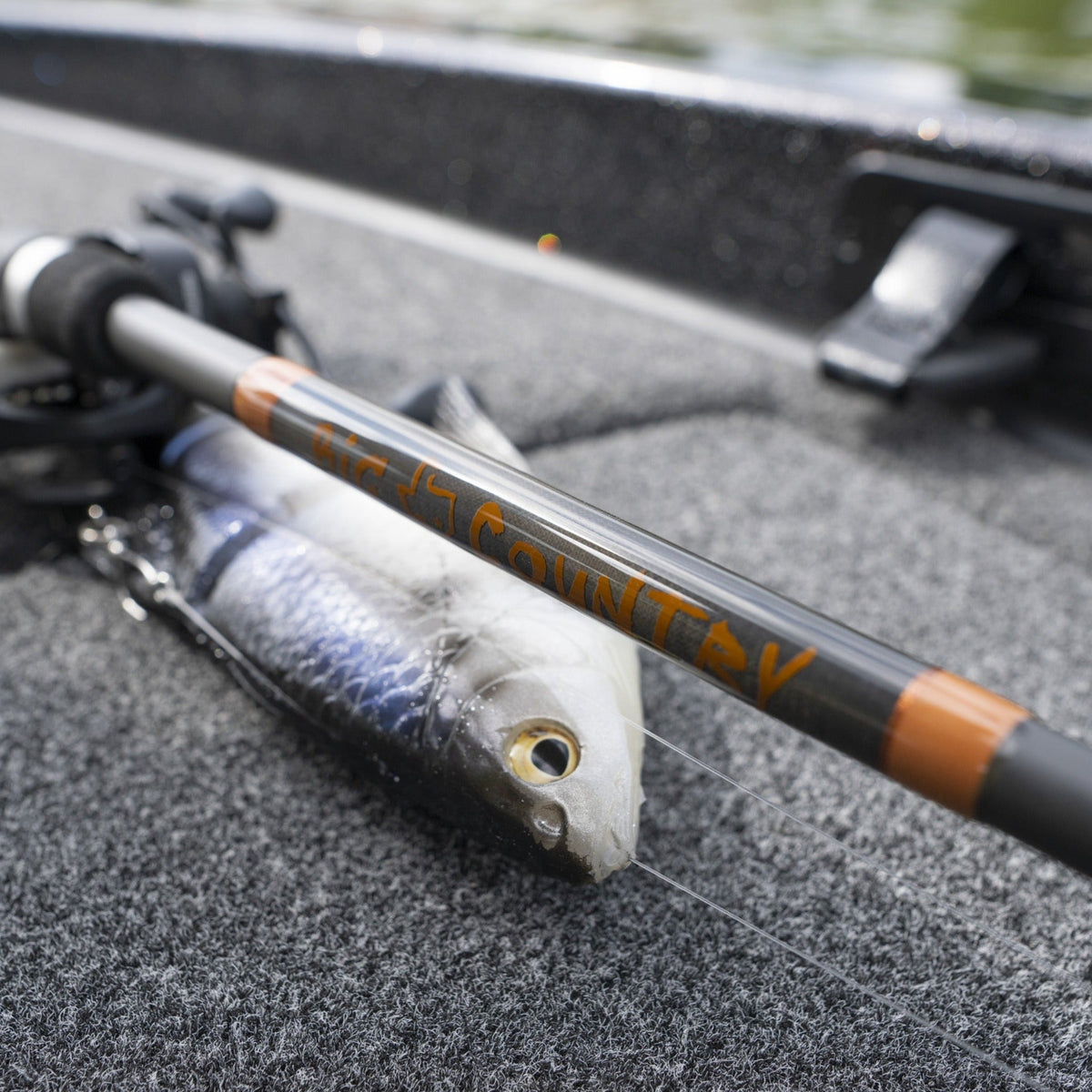 Kistler Big Country Swimbait Rod