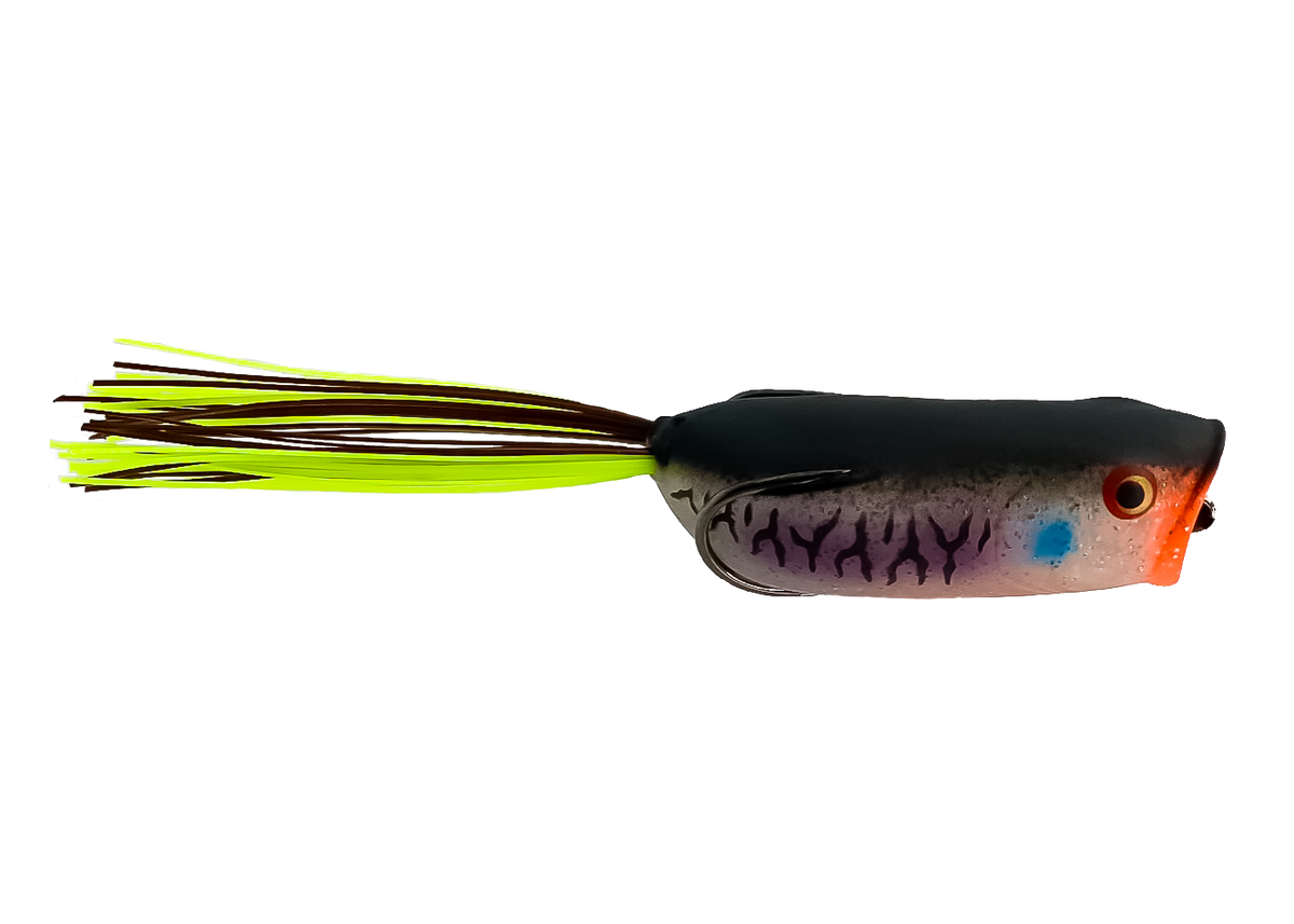 Toad Thumper Thumper poppin’ frog in Bad Gill color