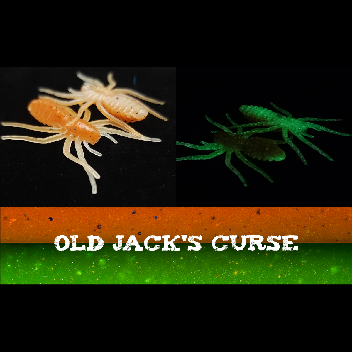Creek Life 1&quot; Micro Spider Bait &quot;The Writing Spider&quot; – Jar of 16