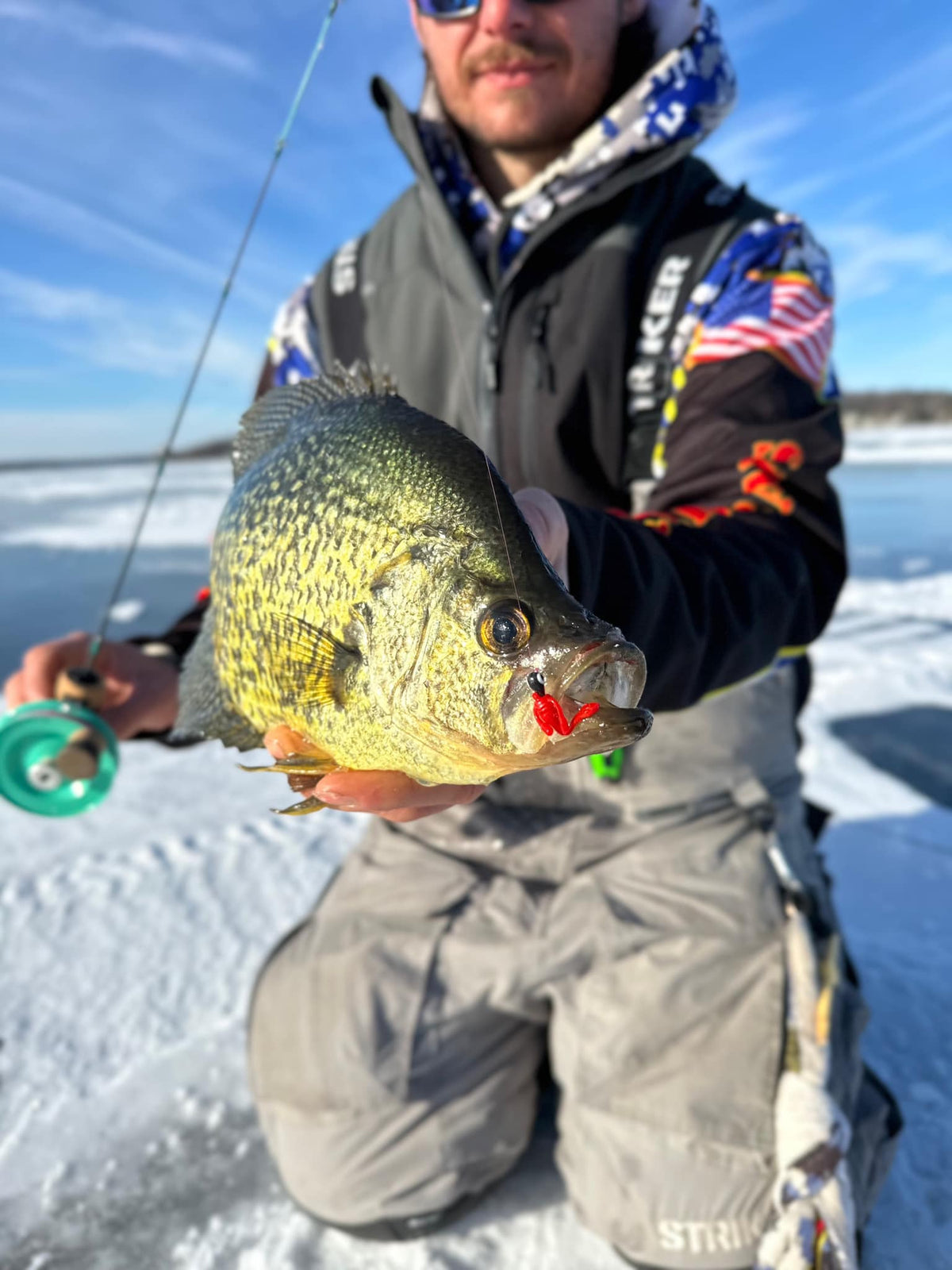 Freedom Baitz DMR Panfish Soft Plastic