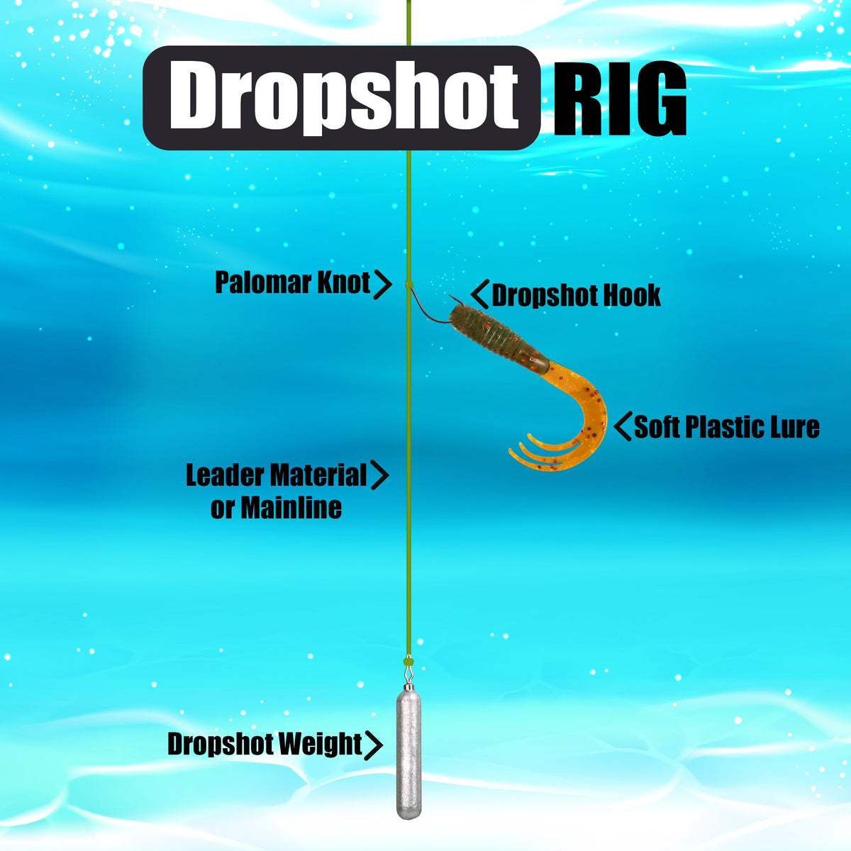 Reaction Tackle Drop Shot Hooks 50-Pack – EWG Hooks