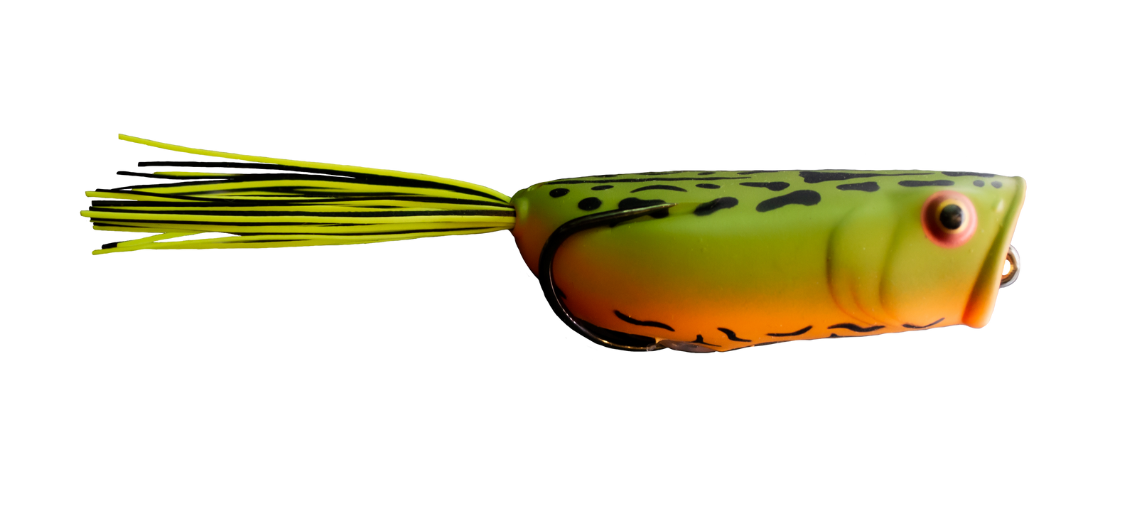 Toad Thumper Thumper poppin’ frog Fire Toad