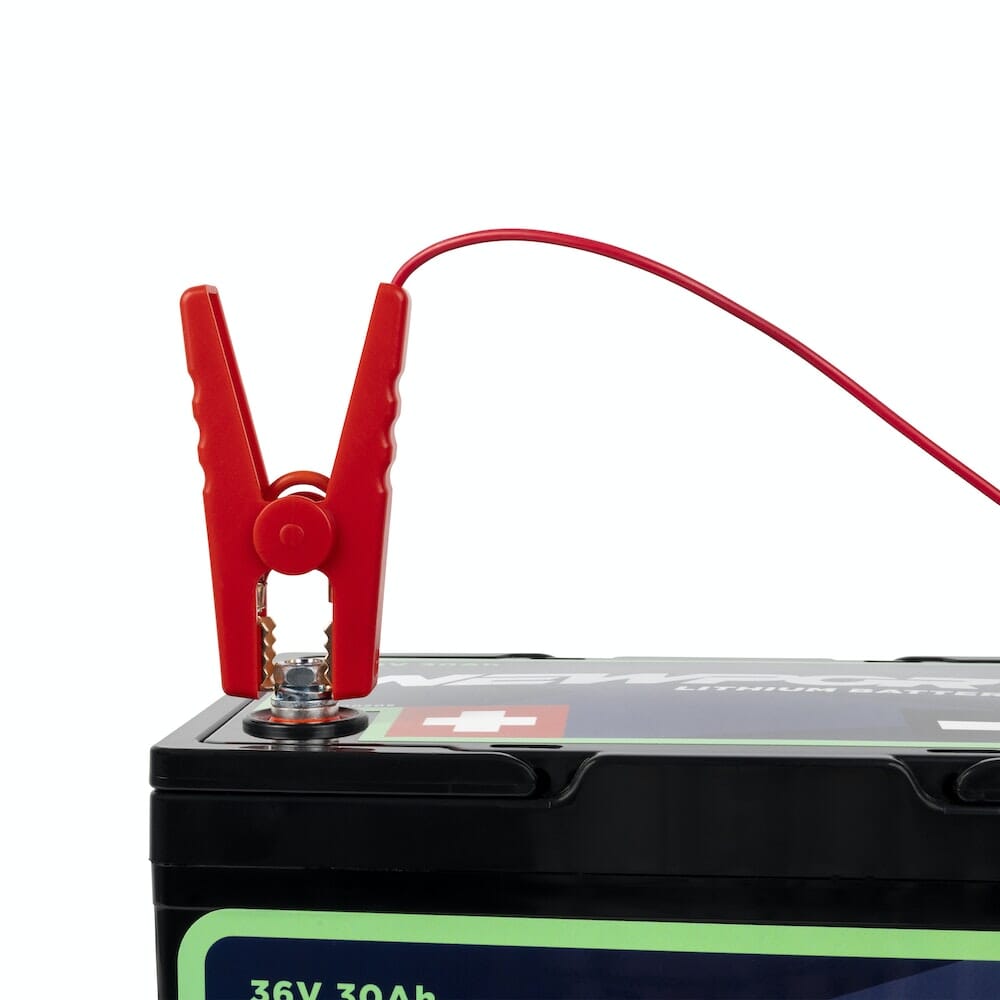 Newport 36V Lithium Battery Charger