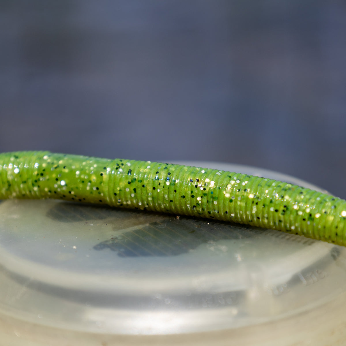 Reaction Tackle Wacky Worms 5.5in – 24-Pack