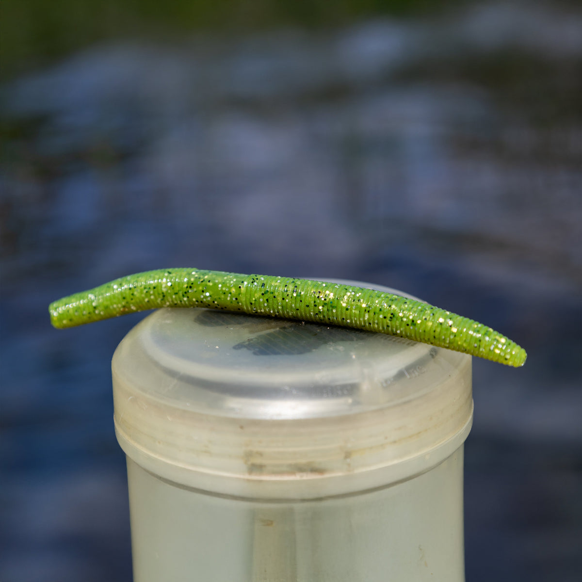 Reaction Tackle Wacky Worms 5.5in – 24-Pack