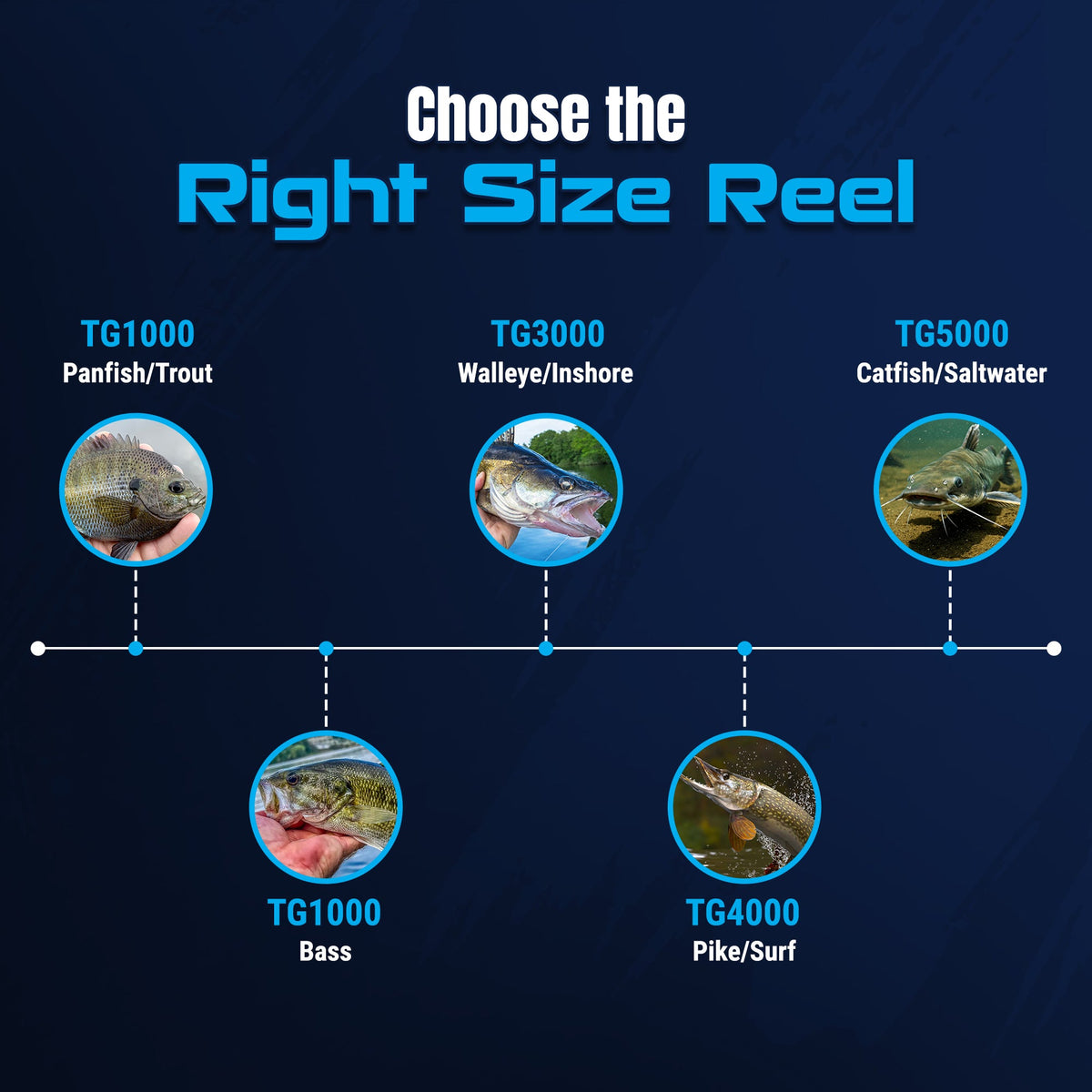 Reaction Tackle TG Series Spinning Reels – High-Performance