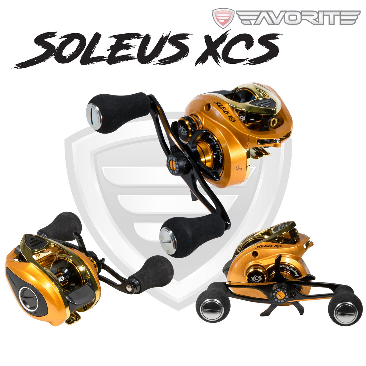 Gold/Gold Soleus XCS low profile casting reel