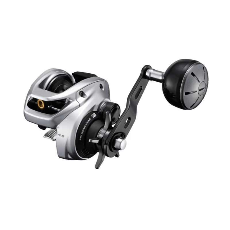 Shimano Tranx 300 B Low-Profile Baitcasting Reel
