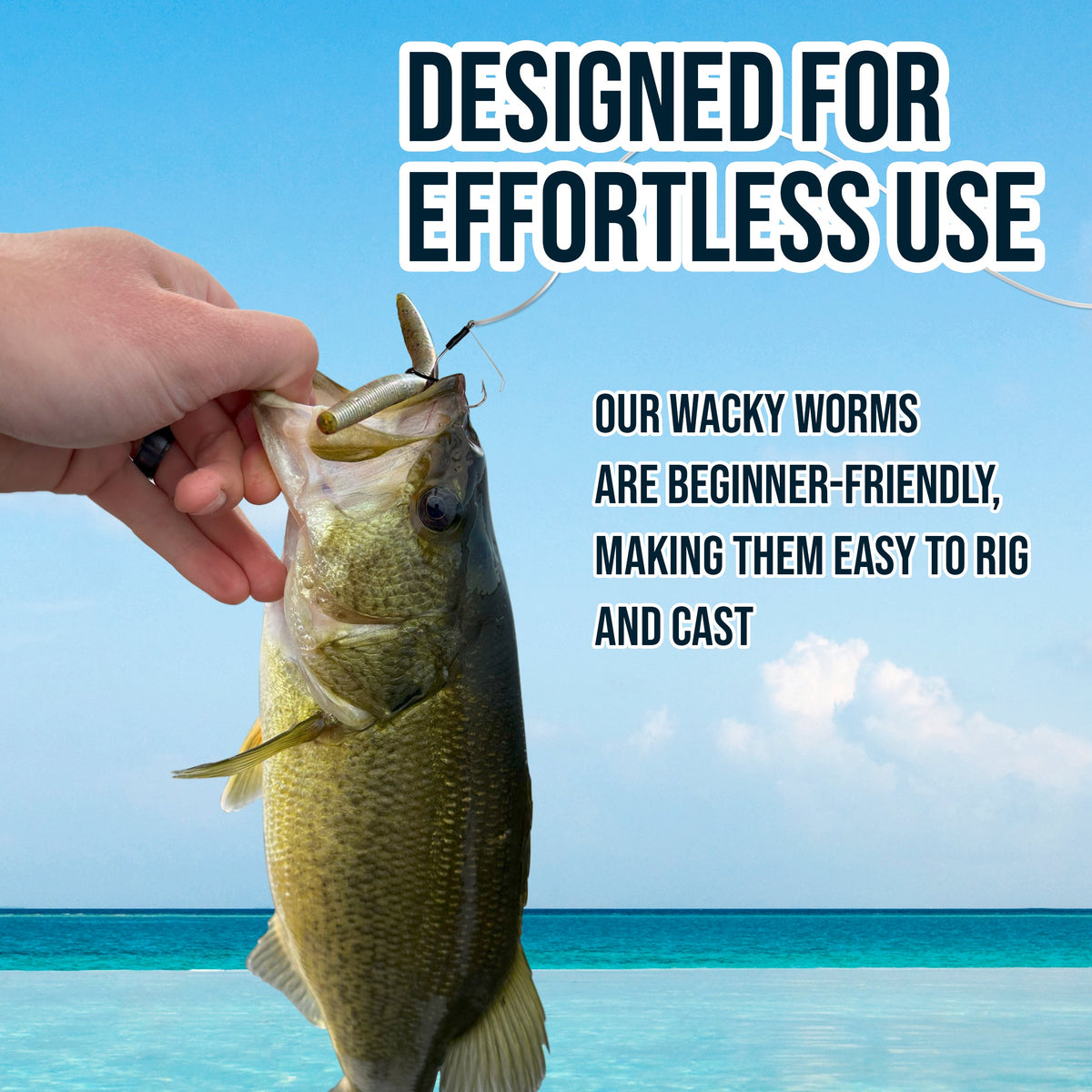 Reaction Tackle Wacky Worms 5.5in – 24-Pack