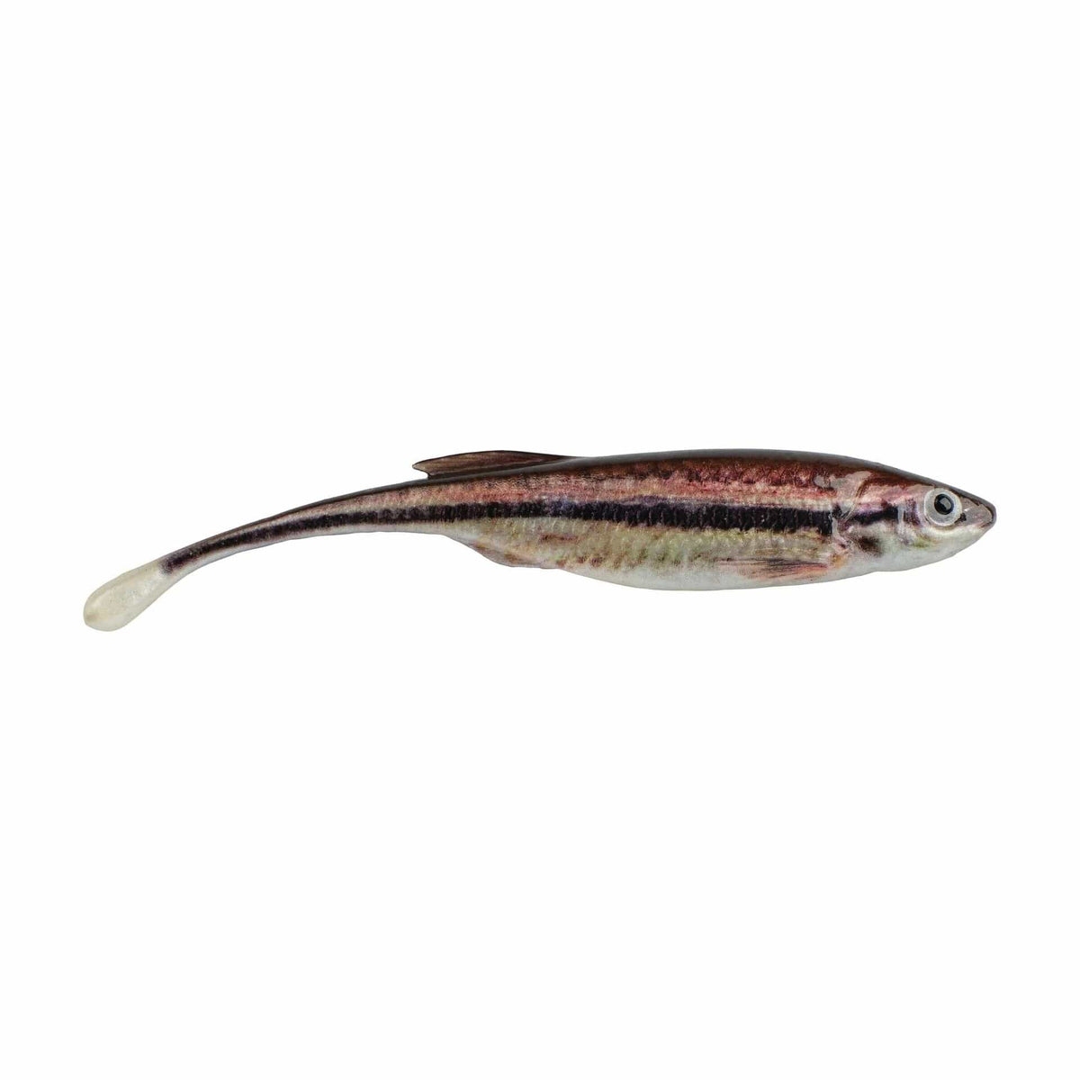 Baits Berkley PowerBait 4&quot; Drip Minnow HD Blacknose Shiner Berkley PowerBait 4&quot; Drip Minnow - Pescador Fishing Supply