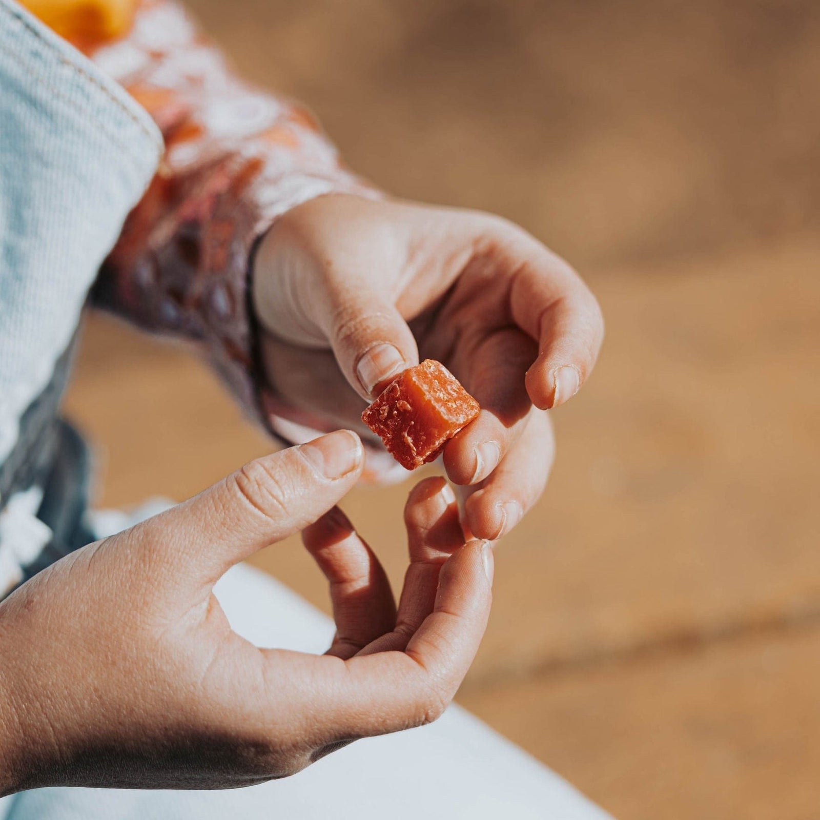 Catfish Bait Bloody Shad Catfish Bait Bloody Shad Catfish Bait