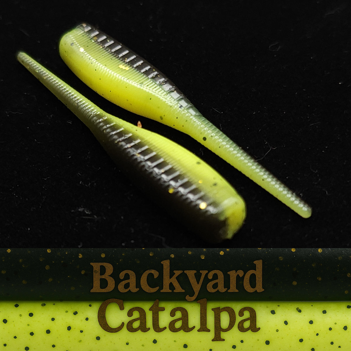 Soft Plastic Creek Life 2&quot; Baby Shad &quot;The Needlebutt Shad&quot; 16 Pack Backyard Catalpa (16 Pack) Jar of 2&quot; Baby Shad &quot;The Needlebutt Shad&quot; - Pescador Fishing Supply
