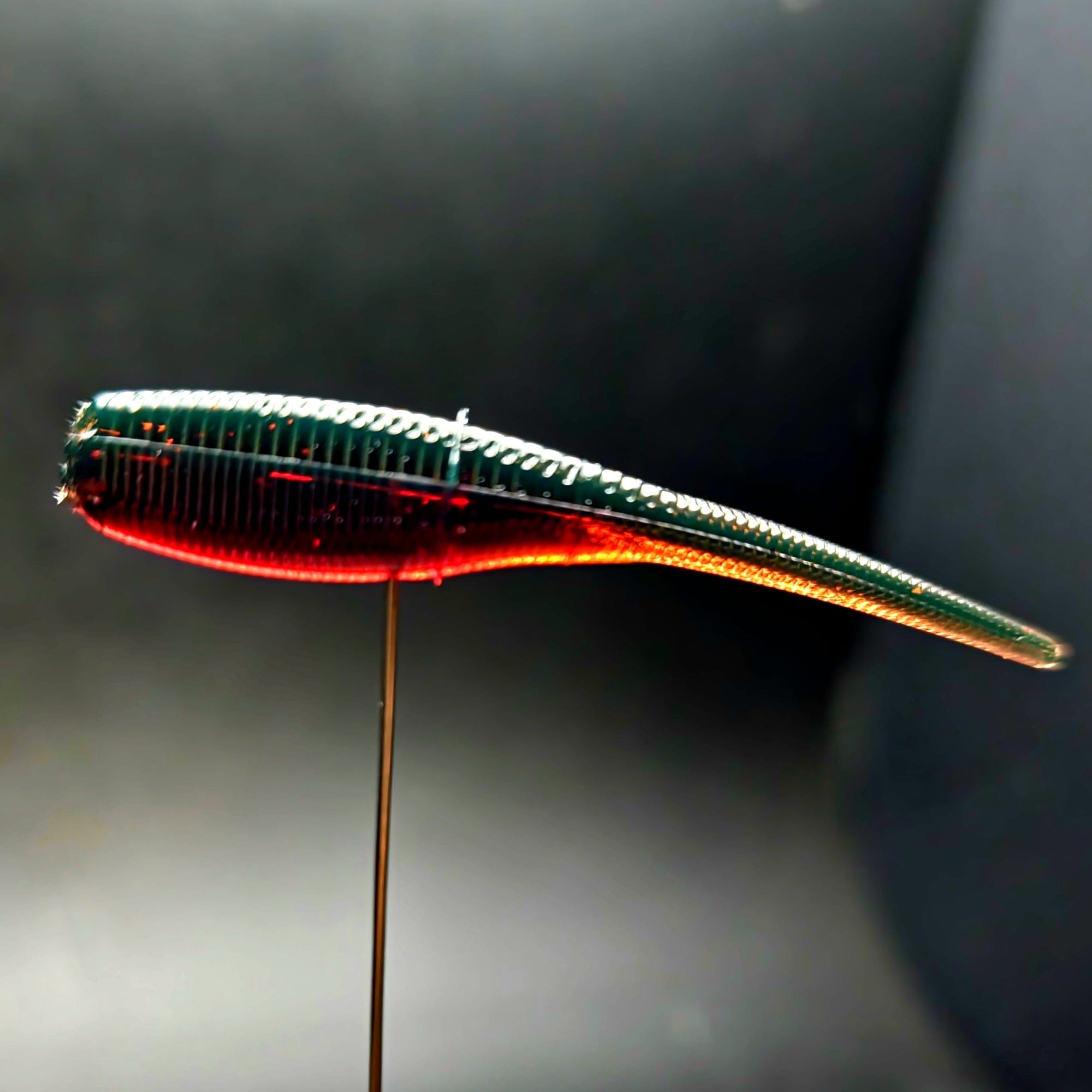 Soft Plastic Creek Life 2" Baby Shad "The Needlebutt Shad" 16 Pack Creek Gold (16 Pack) Jar of 2" Baby Shad "The Needlebutt Shad" - Pescador Fishing Supply