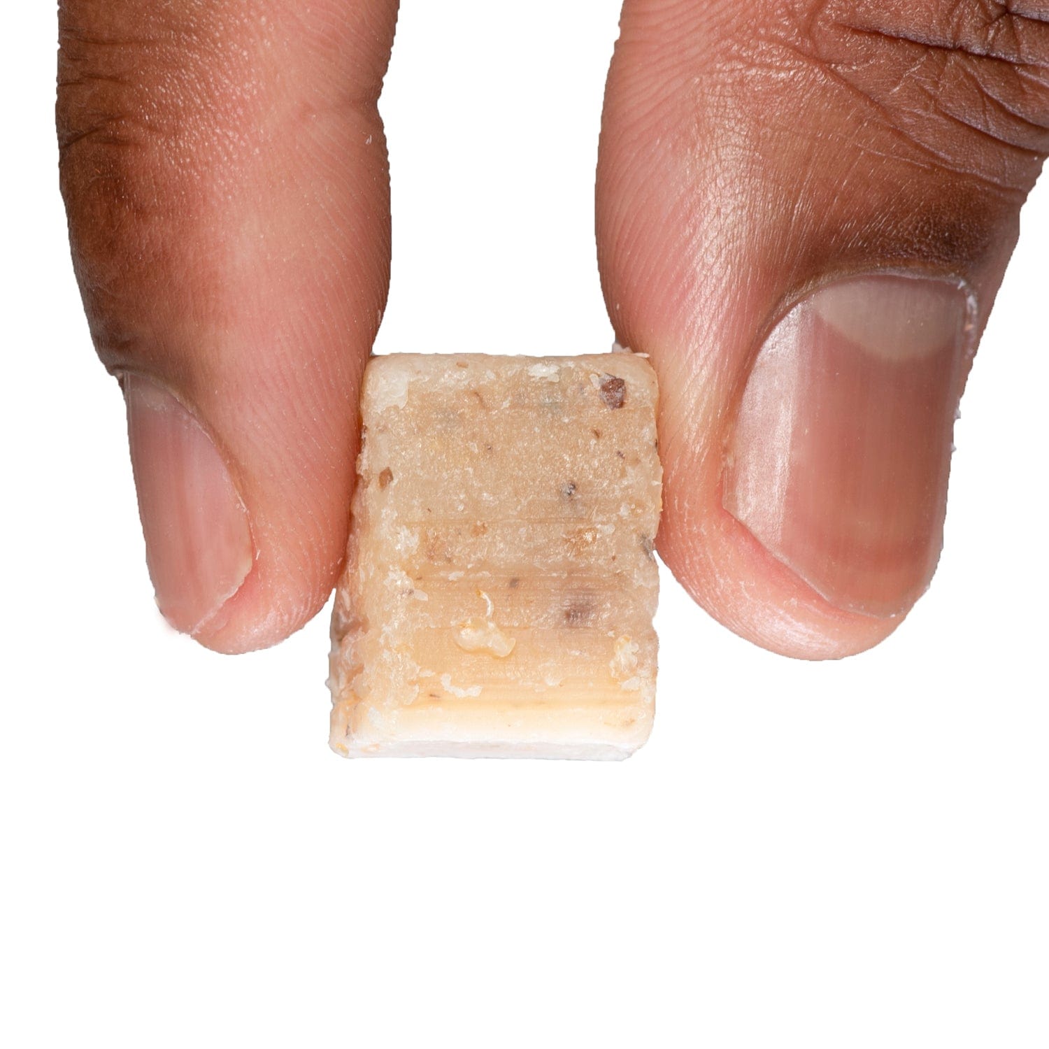 Catfish Bait Cricket Catfish Bait Cricket Catfish Bait