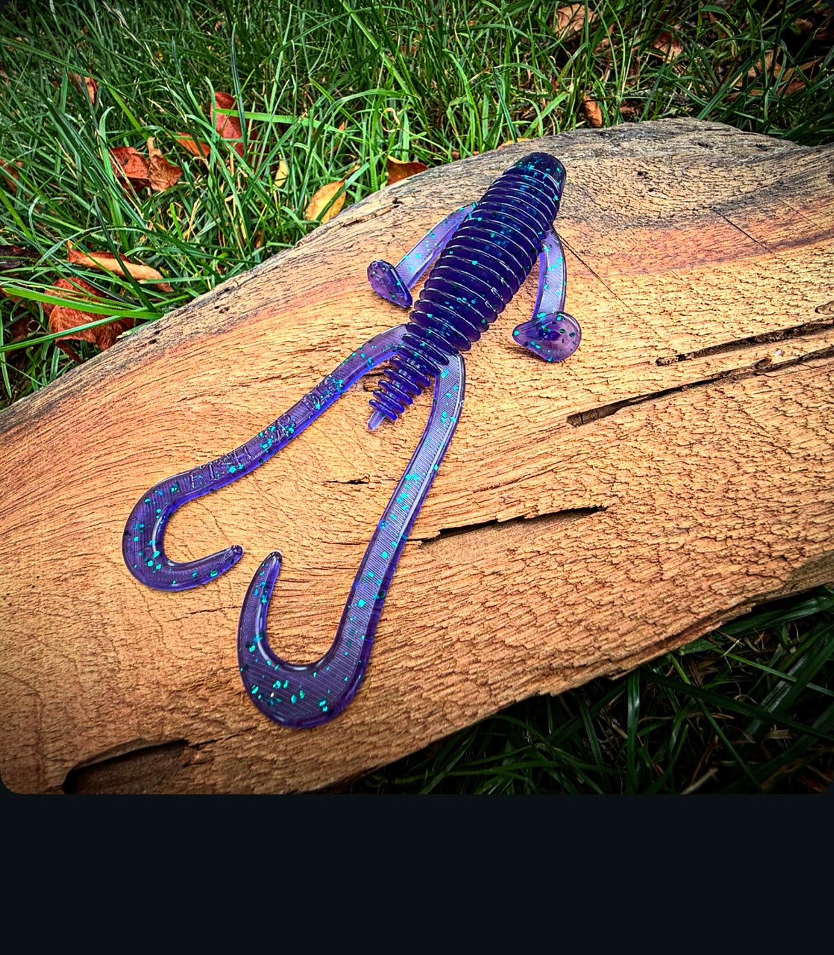 Soft Plastics Fish or Die Bait Co. Howitzer Creature Bait (Flipping/Punching) Grapeshot (Junebug) Fish or Die Howitzer – 5.5" Creature Bait – Pescador Fishing Supply