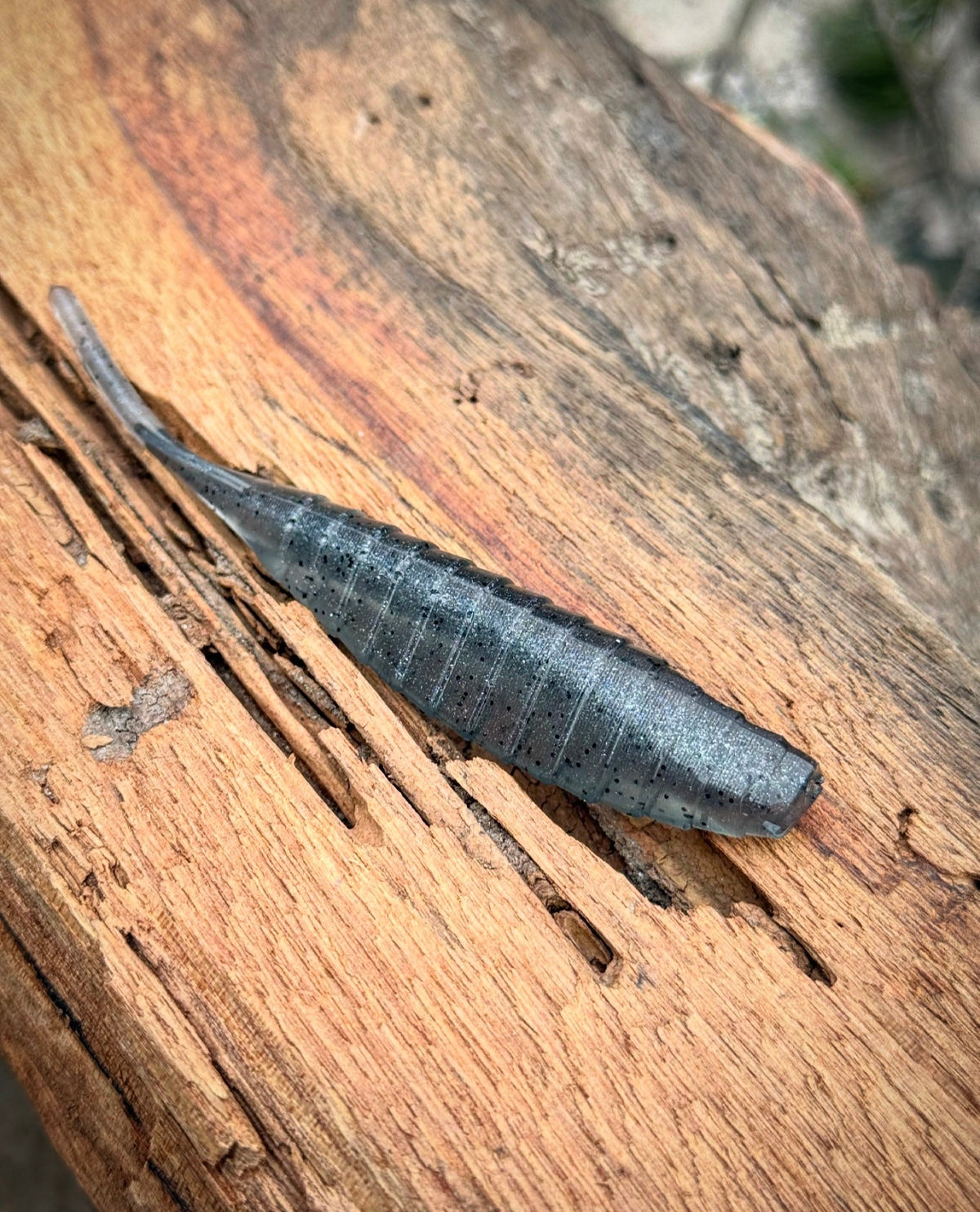 Soft Plastic Fish or Die Bait Co. Shiv Fluke-Style Jerk Minnow Bayonet (Grey Shiner) / 4.25” Fish or Die Shiv Fluke-Style Jerk Minnow – Pescador Fishing Supply