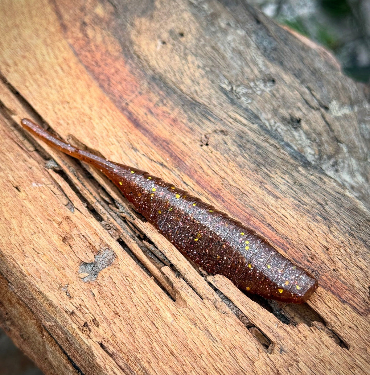 Soft Plastic Fish or Die Bait Co. Shiv Fluke-Style Jerk Minnow Pine Tree Shilling (Golden Shiner) / 4.25” Fish or Die Shiv Fluke-Style Jerk Minnow – Pescador Fishing Supply