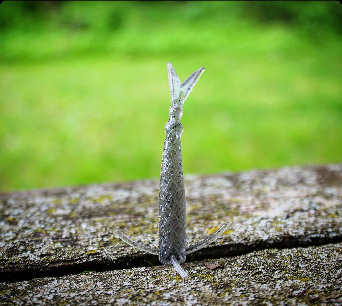 Soft Plastics Fish or Die Bait Co. The Sharpshooter Drop Shot Finesse Minnow Bayonet (Grey Shiner) The Sharpshooter Drop Shot Minnow – Pescador Fishing Supply