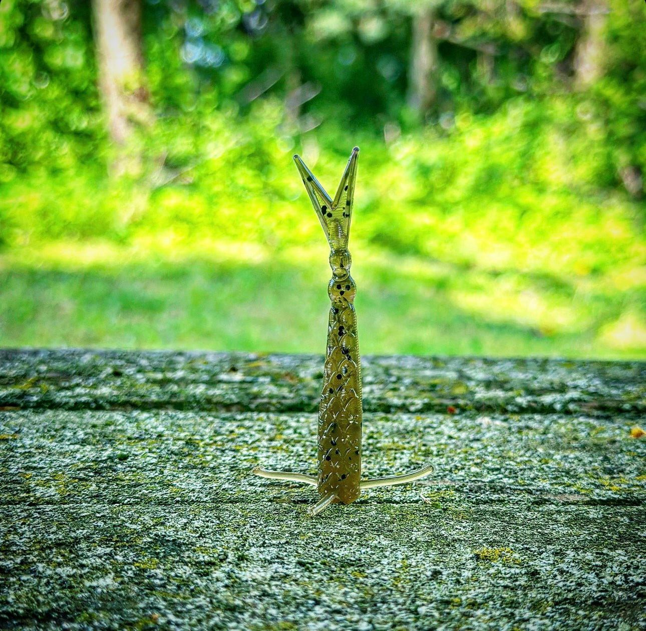 Soft Plastics Fish or Die Bait Co. The Sharpshooter Drop Shot Finesse Minnow Tecumseh (SB Goby) The Sharpshooter Drop Shot Minnow – Pescador Fishing Supply