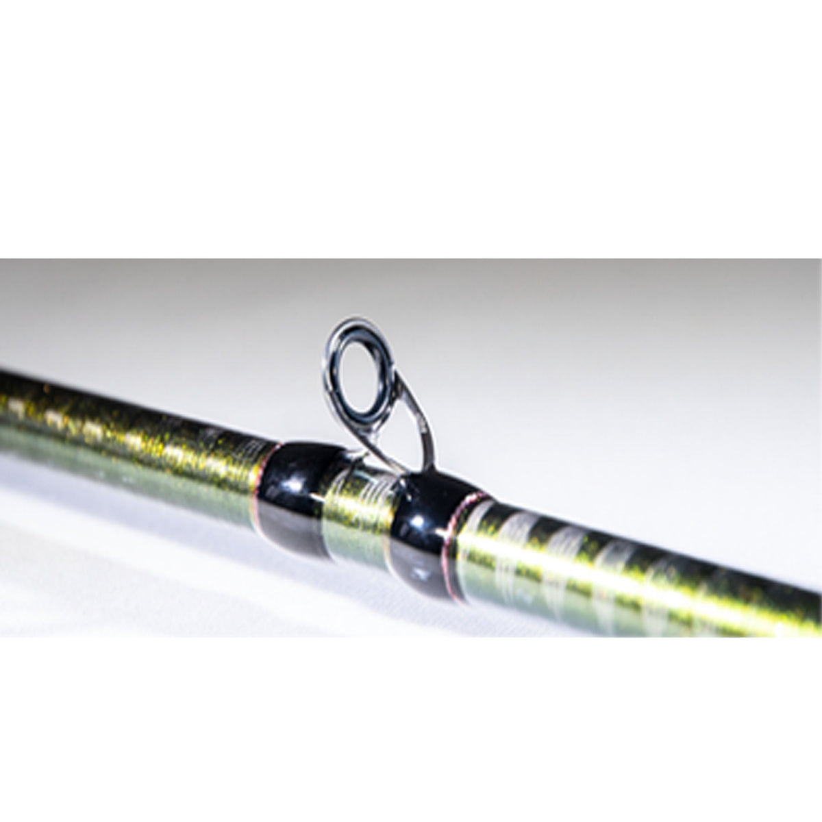 Favorite Fishing Big Sexy Casting Rod