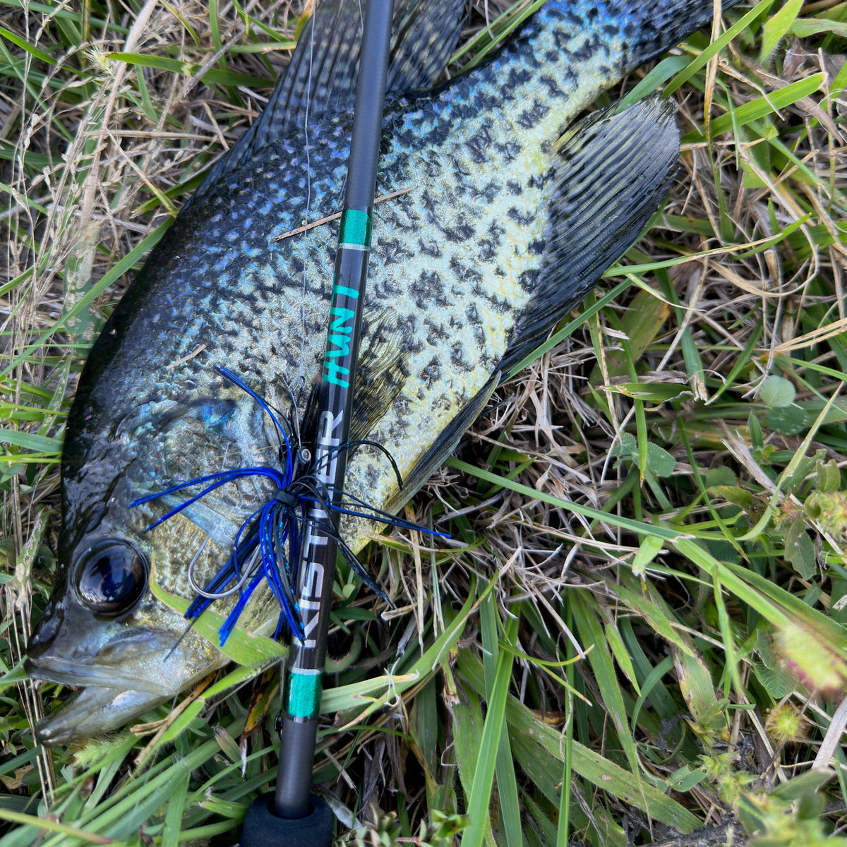 Kistler Hunt BFS Bait Finesse Casting Rod