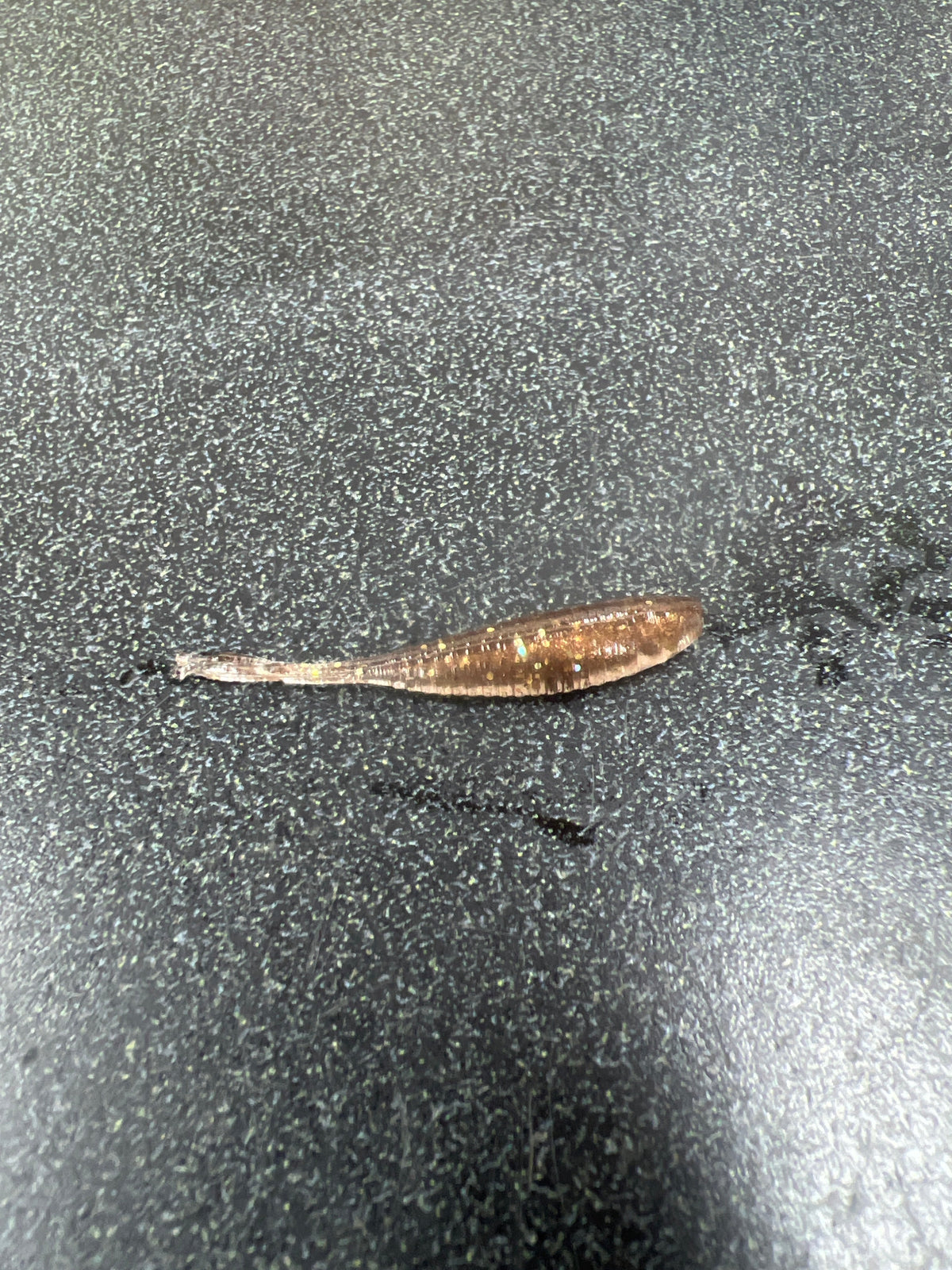1.5 Gulp Minnow compact minnow bait for crappie fishing