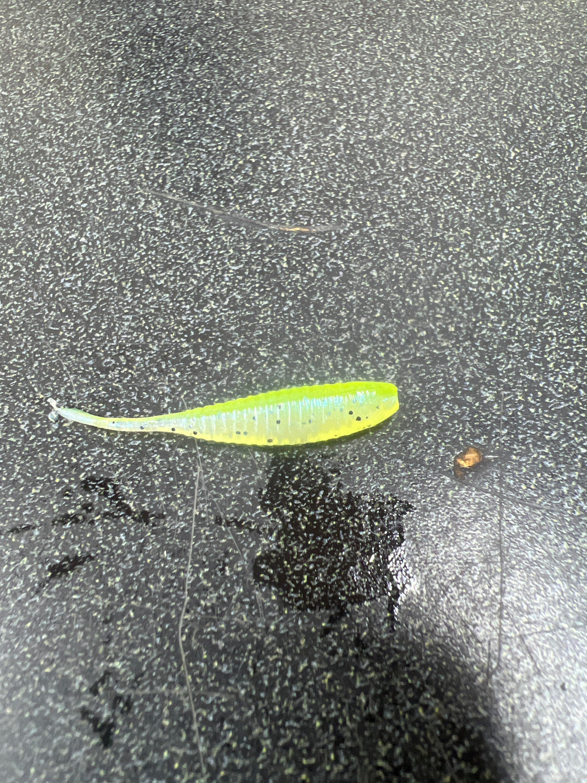1.5 Gulp Minnow compact minnow bait for crappie fishing
