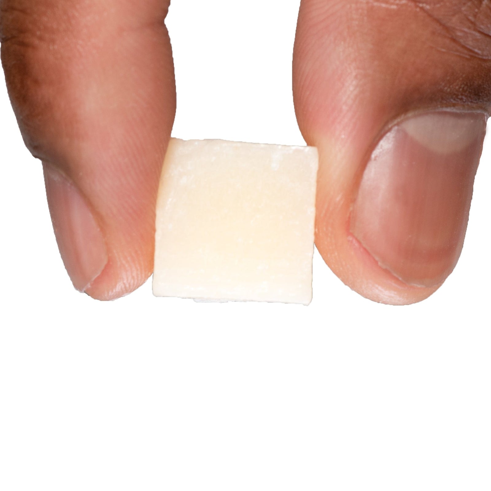 Catfish Bait Minnow Catfish Bait Minnow Catfish Bait