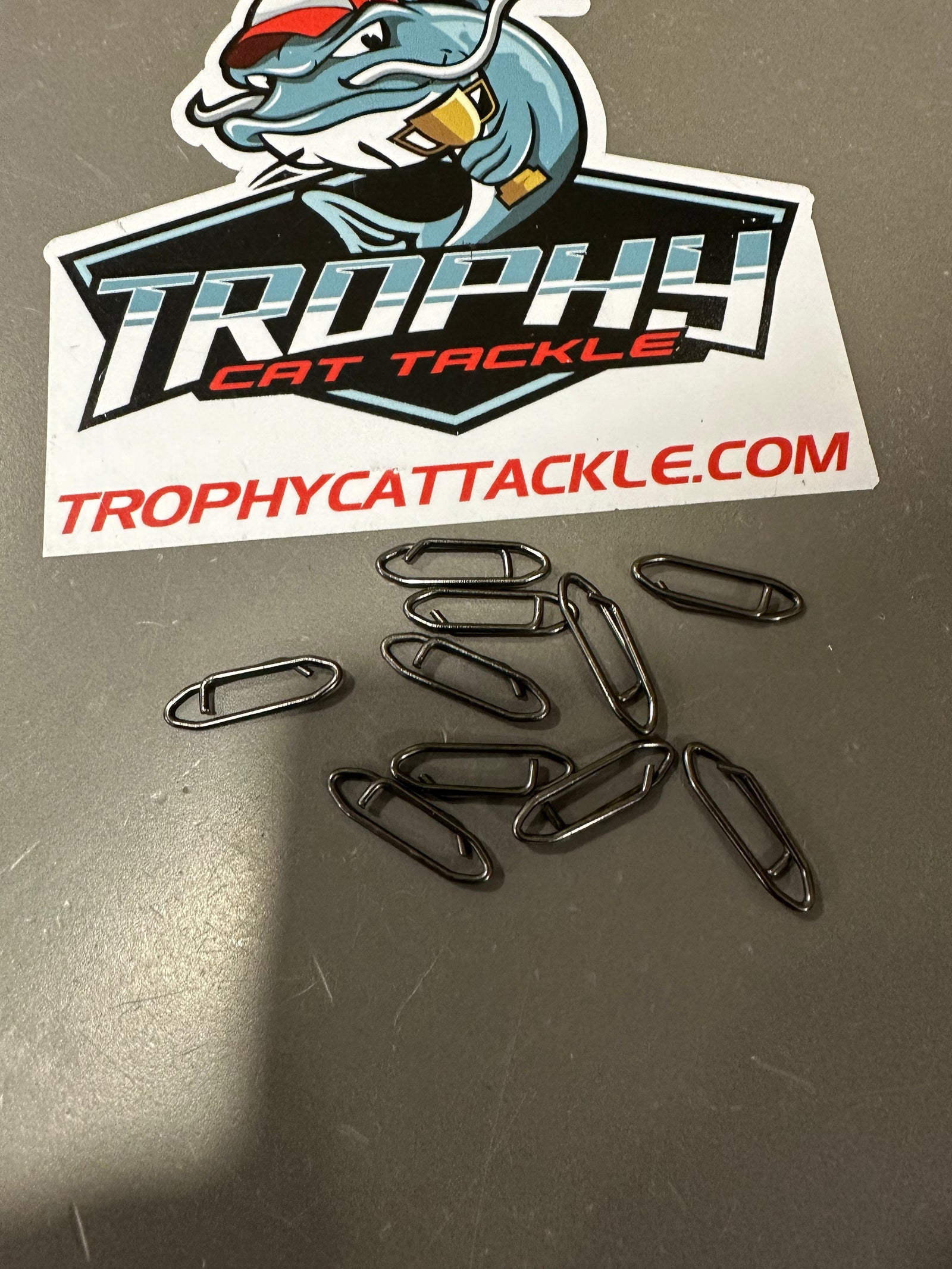 Snaps and Slides Quick Clips 10 Quick Clips