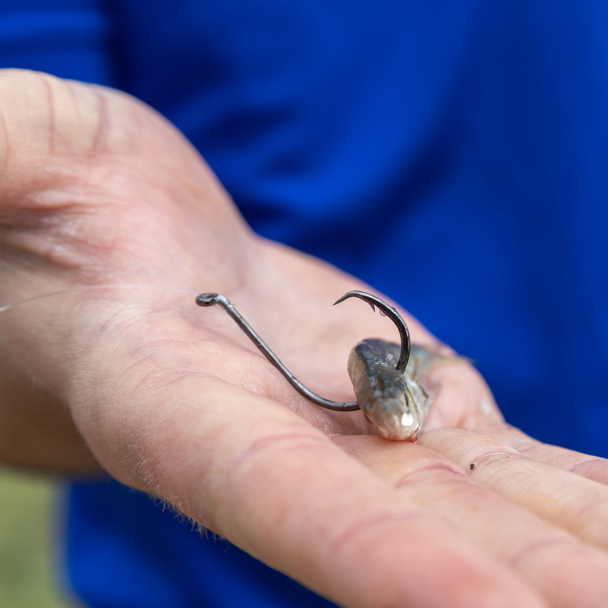 Fish Hooks Reaction Tackle Heavyweight Catfish Circle Hooks 25-Pack – Offset Octopus Reaction Tackle Heavyweight Circle Hooks – Pescador Fishing Supply  