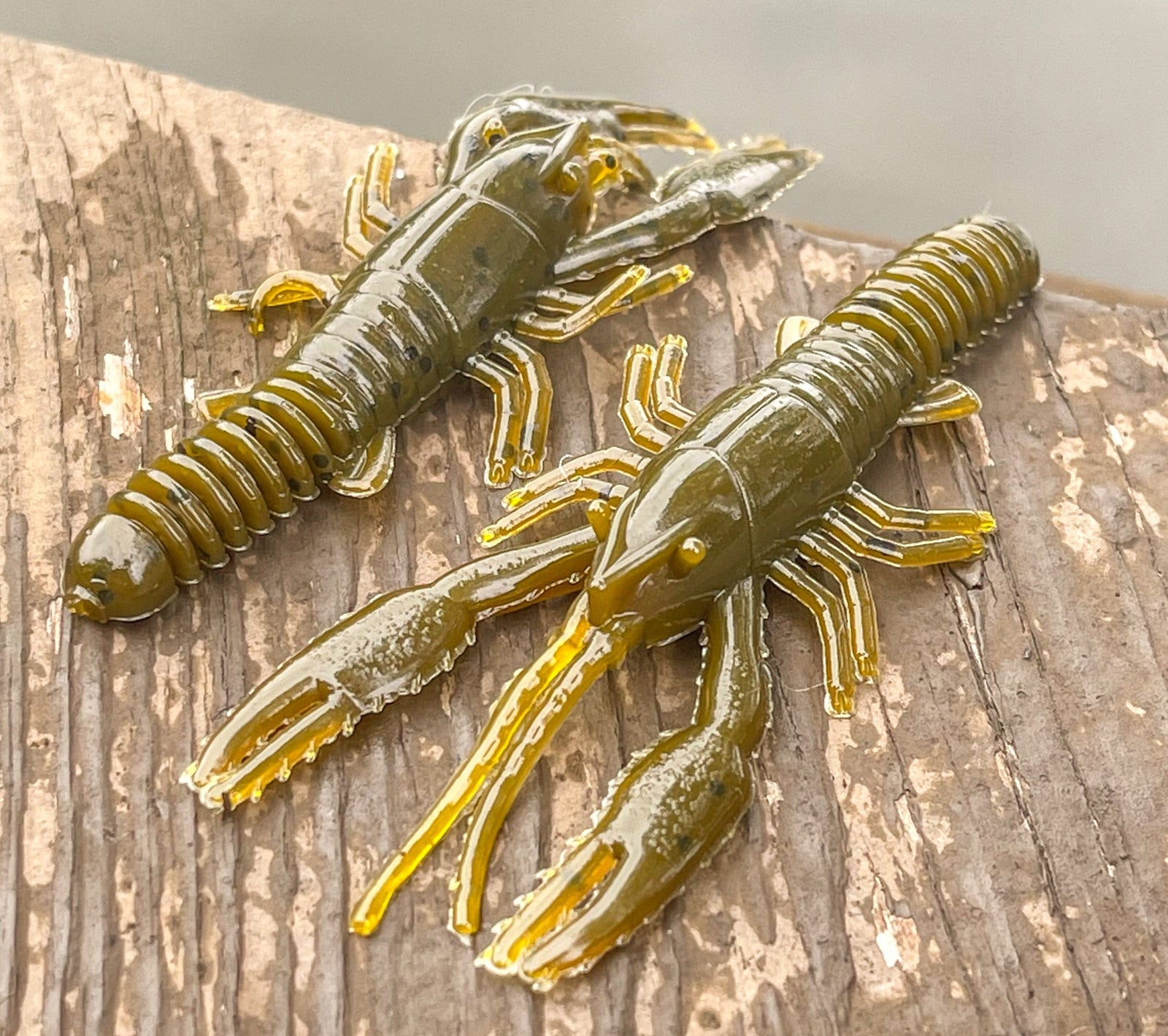soft plastic Sidewinder (Creature) 3" - 10 Count 3 inch / Green Pumpkin Sidewinder (Creature) 3" - 10 Count